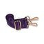Clear HydroBag® Stadium with Purple Trim and Matching RFID Pouch