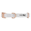 Dog Collar - Pup of Honor