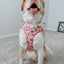 Dog Collar - STAR WARS™ Princess Leia
