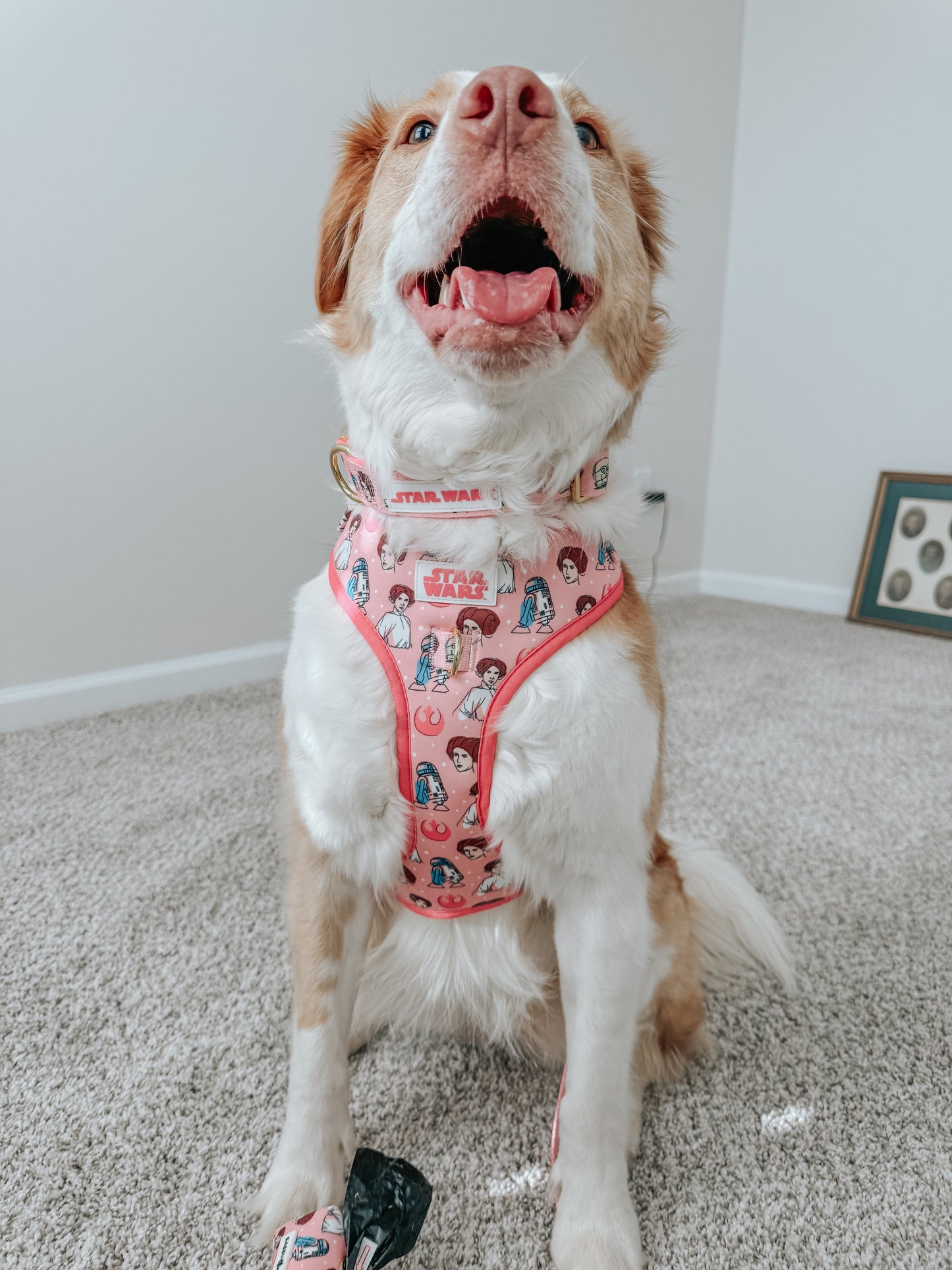 Dog Adjustable Harness - STAR WARS™ Princess Leia