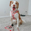 Dog Leash - STAR WARS™ Princess Leia