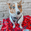Reversible Harness - The Nightmare Before Christmas™