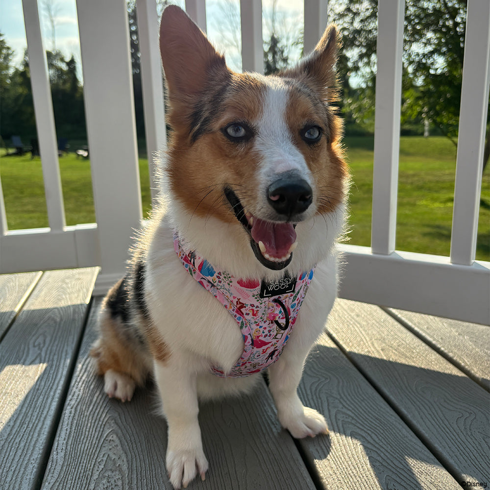 Dog Adjustable Harness - Disney's Aurora