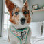 Dog Adjustable Harness - STAR WARS™ The Child™