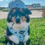 Dog Bucket Hat - Disney's Stitch
