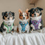 Dog Adjustable Harness - The Powerpuff Girls™ (Blue)