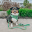 Dog Leash  - Kiwi Krazy