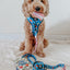 Dog Leash - The Powerpuff Girls™ (Blue)