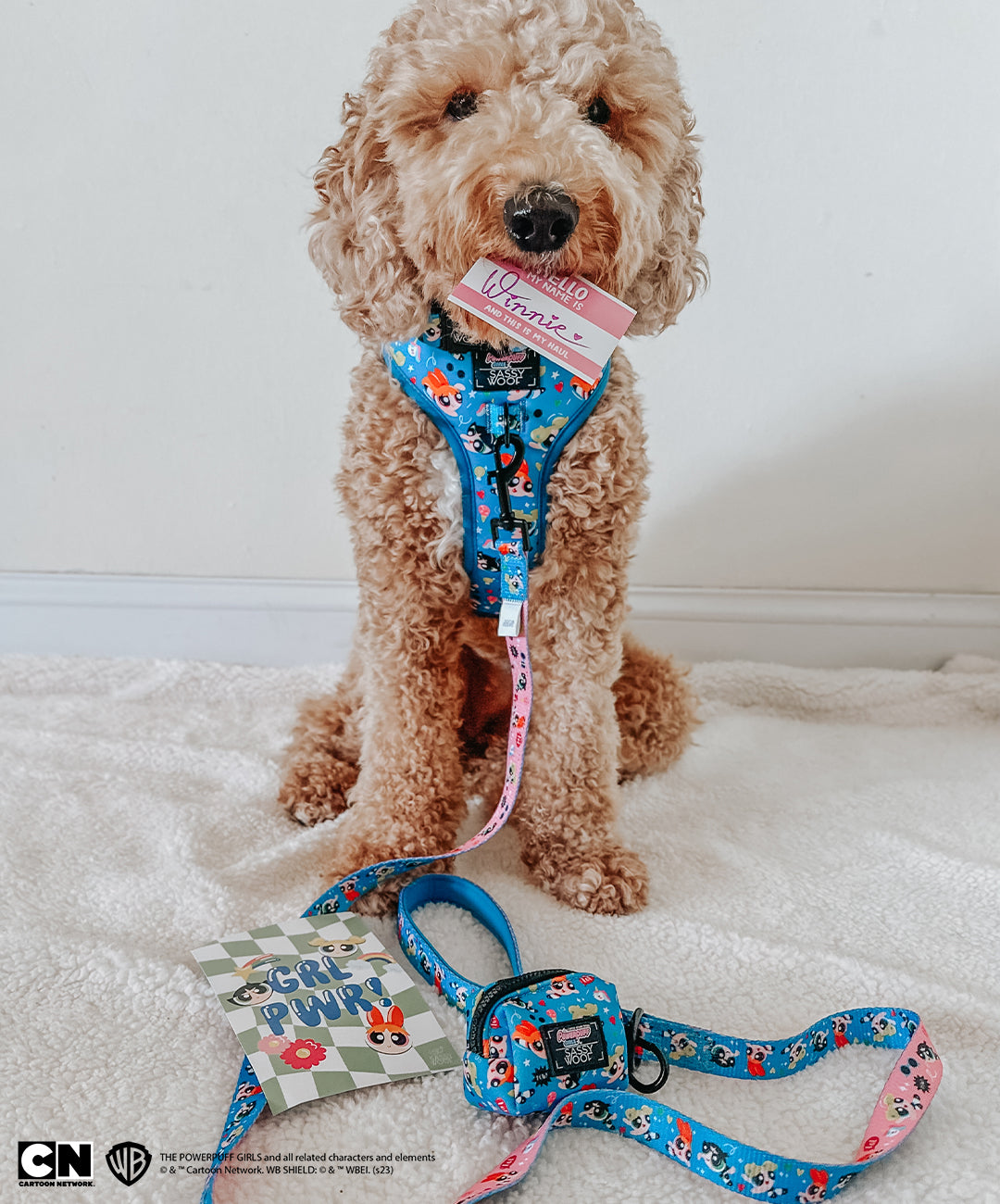 Dog Leash - The Powerpuff Girls™ (Blue)