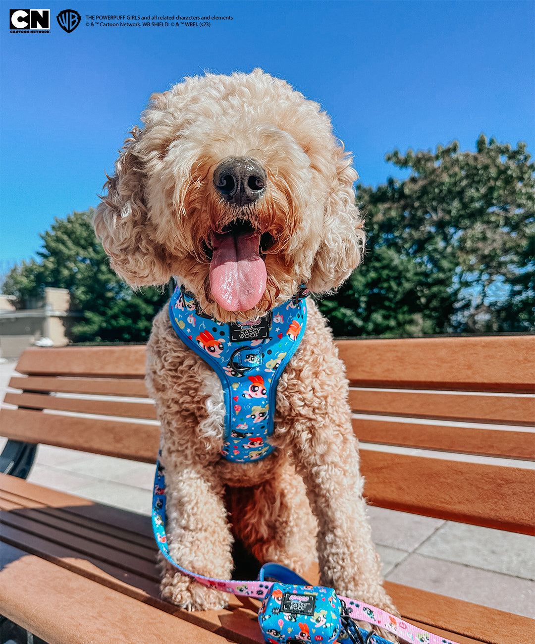 Dog Adjustable Harness - The Powerpuff Girls™ (Blue)