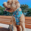 Dog Collar - The Powerpuff Girls™ (Blue)