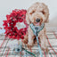 Dog Adjustable Harness - Under the Mistletoe