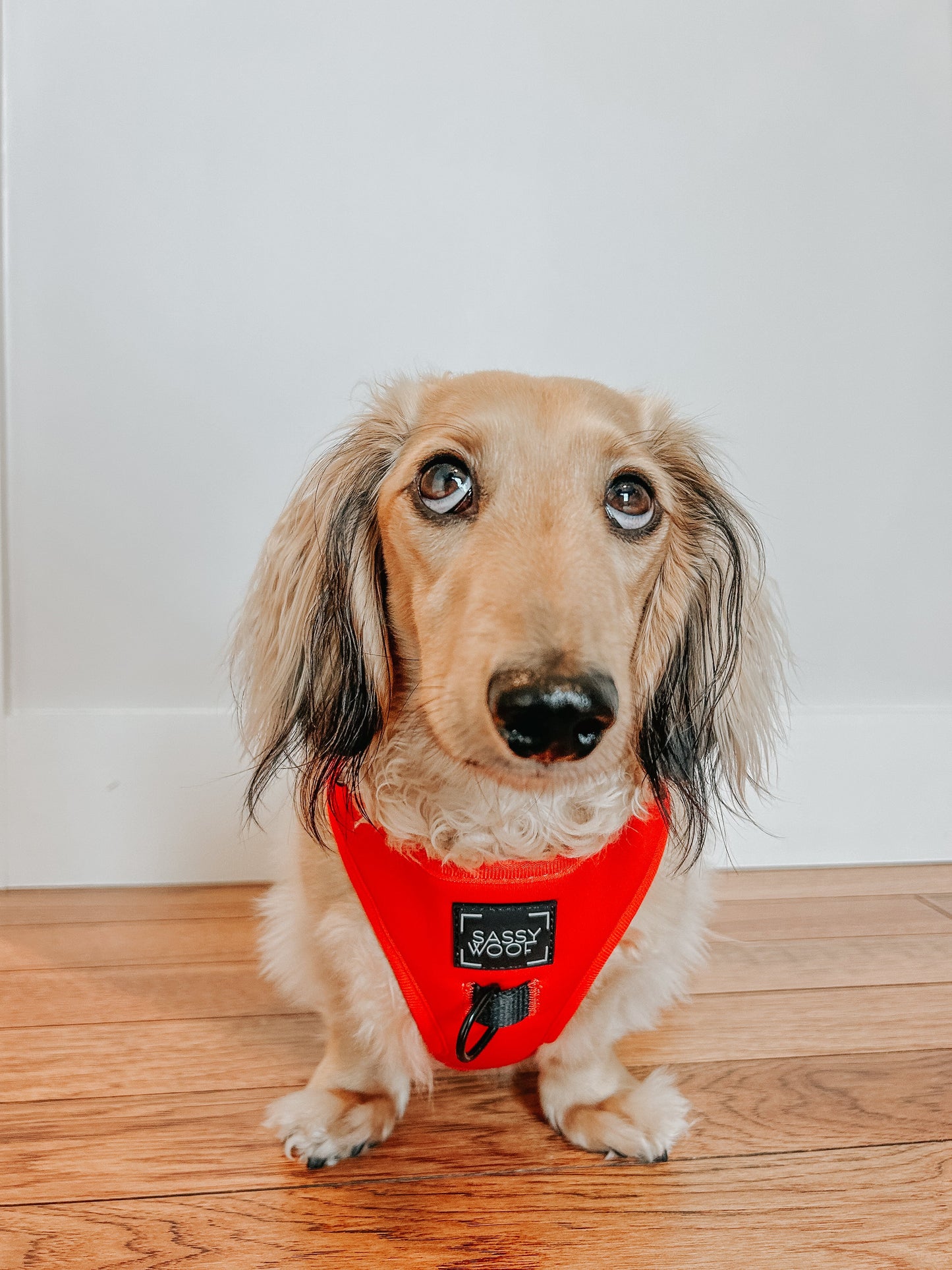 Dog Adjustable Harness - Neon Red