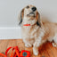 Dog Leash - Neon Red