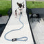 Rope Leash - 6 Styles