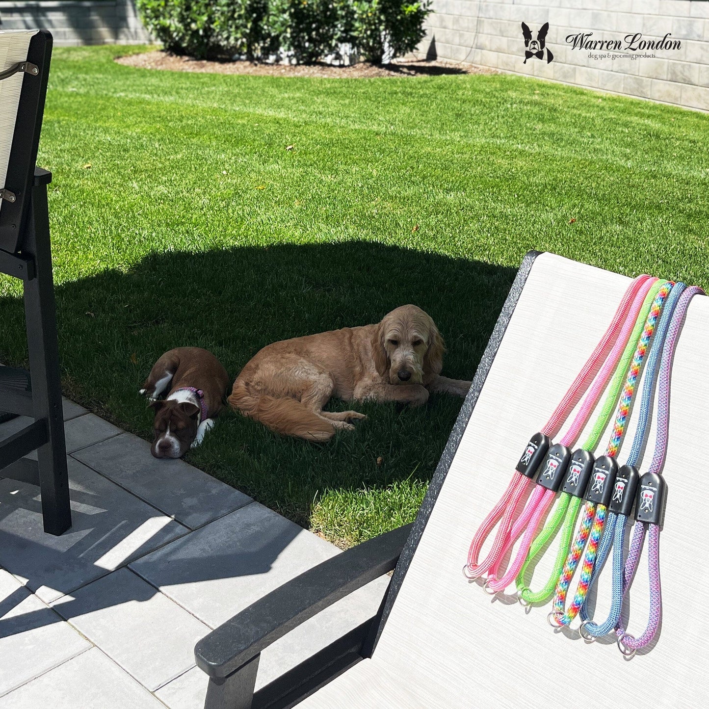 Rope Leash - 6 Styles