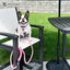 Rope Leash - 6 Styles