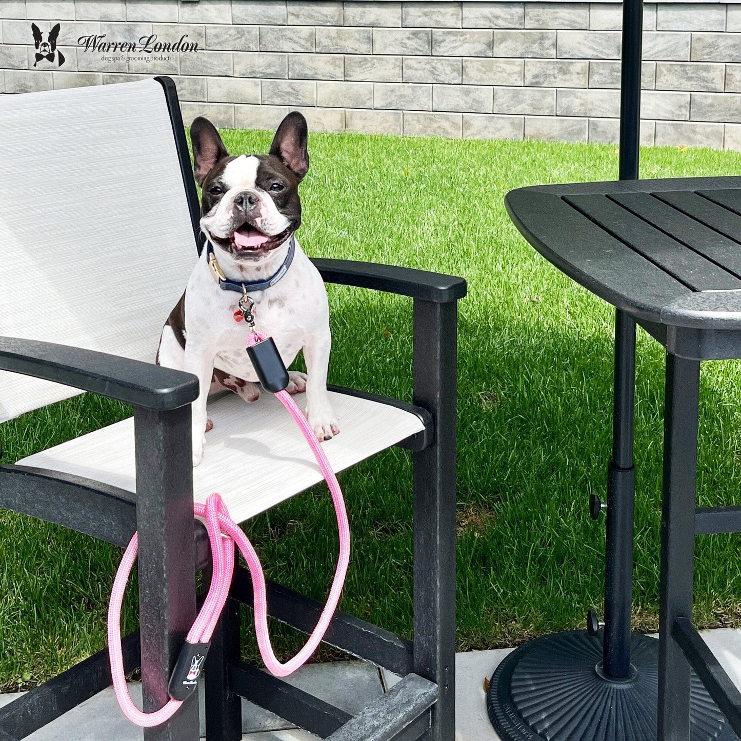 Rope Leash - 6 Styles