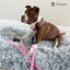 Rope Leash - 6 Styles