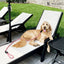 Rope Leash - 6 Styles