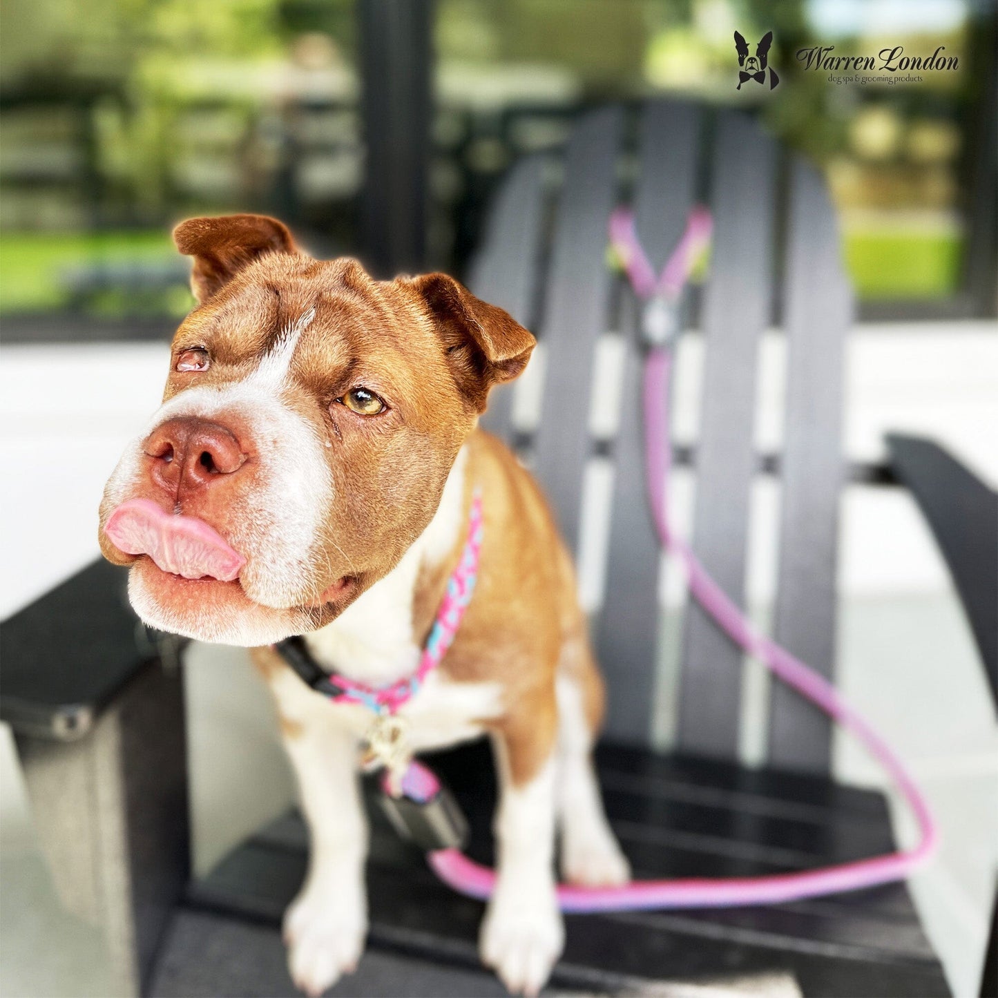 Rope Leash - 6 Styles