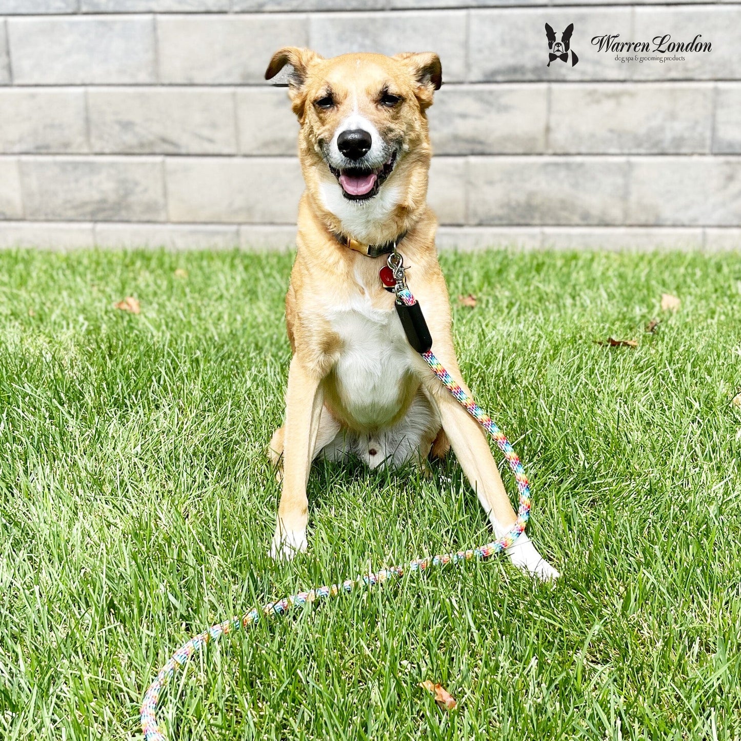 Rope Leash - 6 Styles