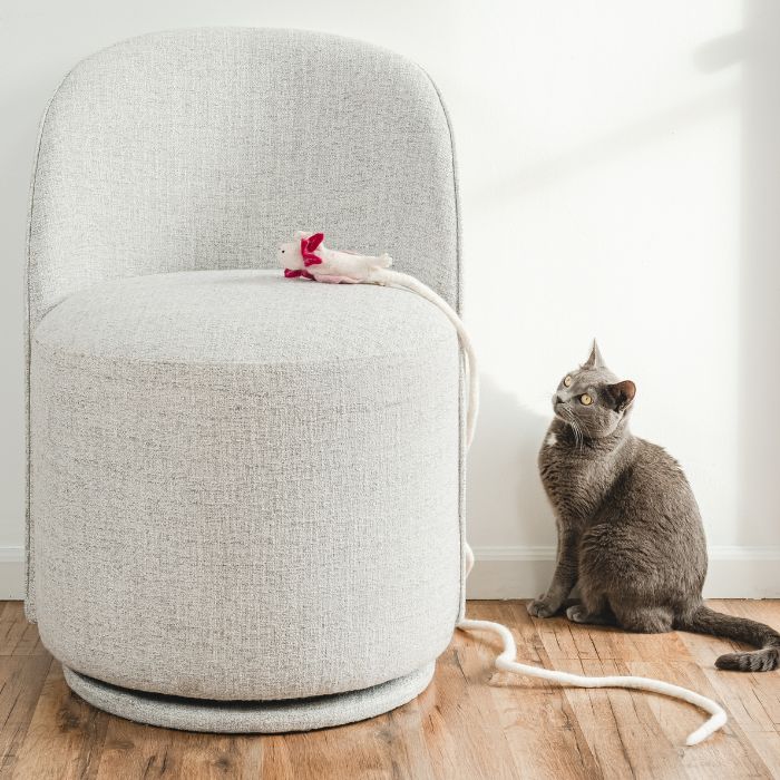 A Little 'Lotl - An Axolotl Wool Cat Toy