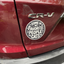 “Some of My Favorite People Are Cats” Car Magnet