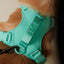 NO PULL ACTIVE  PET HARNESS - MINT GREEN