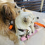Tilley + Me Hemp Cotton Dog Leash - Durable, Sustainable, Adjustable, Lightweight & Soft-Malibu