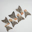 Wild Salmon Tails