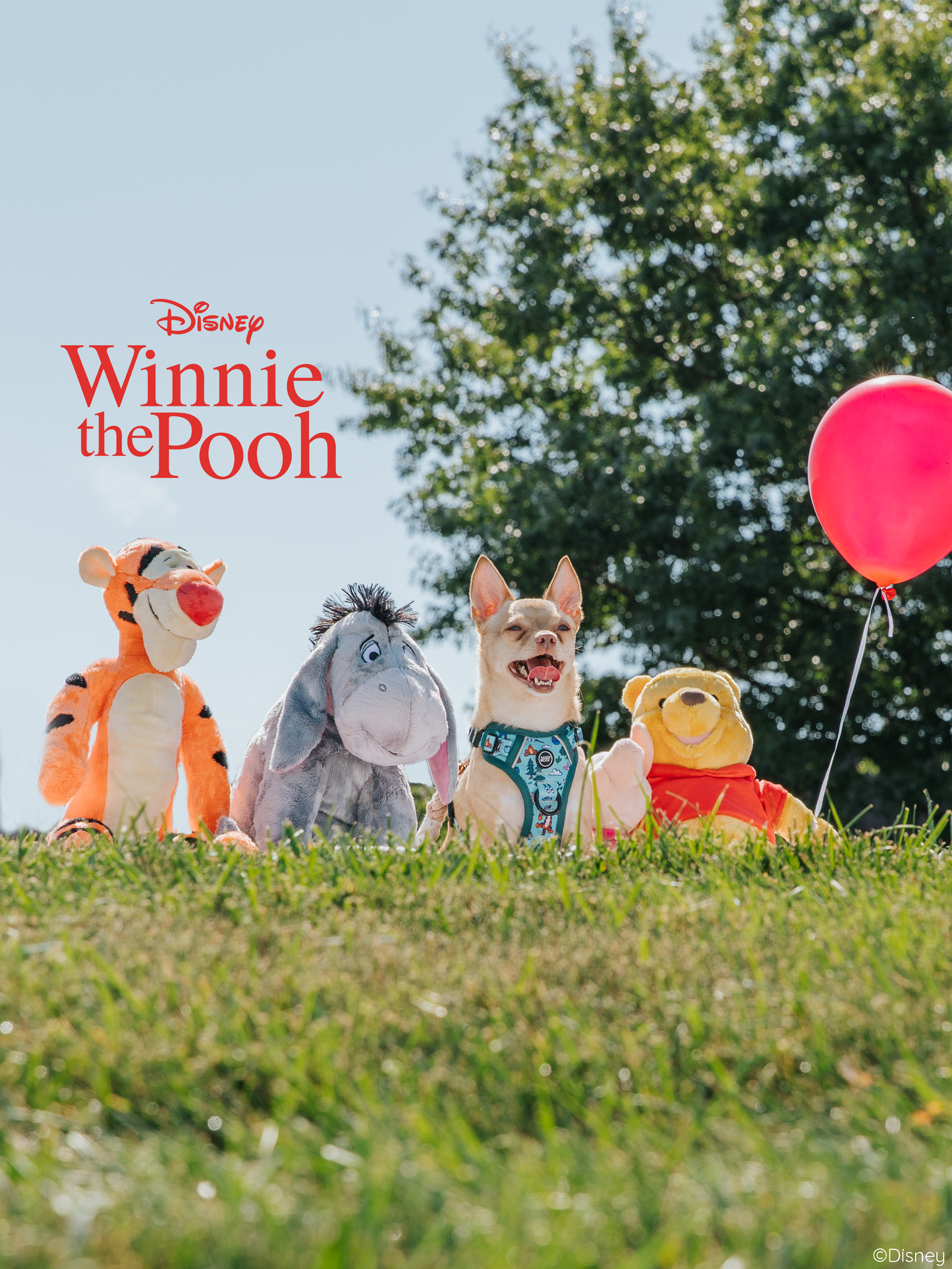 Dog Leash - Disney's Winnie the Pooh