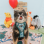 Dog Step-in Harness - Disney's Winnie the Pooh