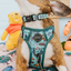 Dog Step-in Harness - Disney's Winnie the Pooh