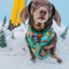 Dog Adjustable Harness - Elf™