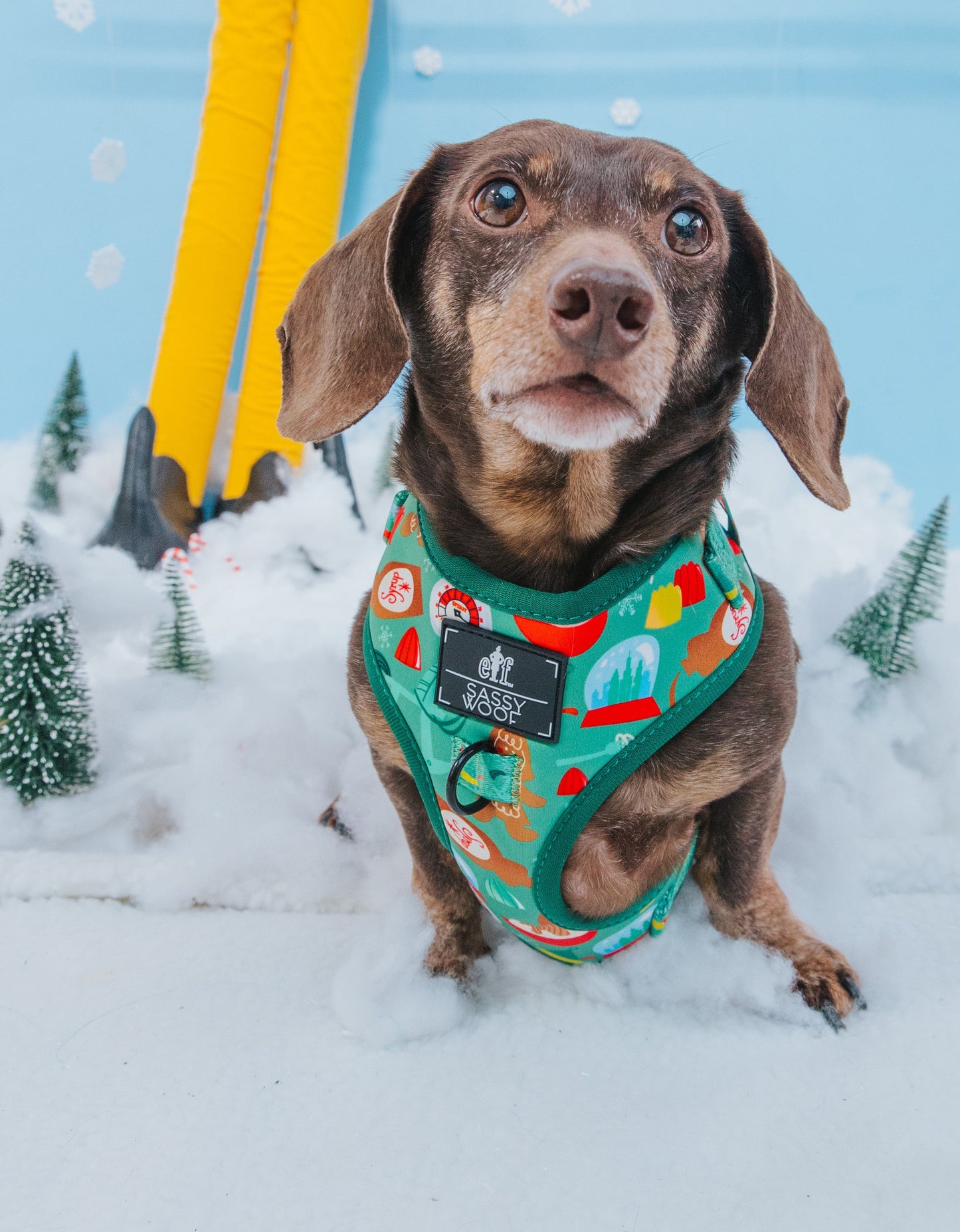 Dog Adjustable Harness - Elf™
