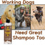 Working Dog Shampoo - Leather Cream