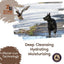 Working Dog Shampoo - Leather Cream