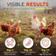 WormStop – Natural Dewormer for Chickens