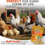 WormStop – Natural Dewormer for Chickens