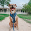 Dog Adjustable Harness - Twilight