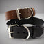 Leather Dog Collar