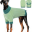 XL–5XL Dog Sweater with Harness Hole – Warm Stretch Turtleneck Winter Outfit