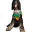 Rainbow Mohawk Dog Sweater