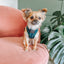 Dog Adjustable Harness - Forest