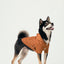 BOWERY RAINCOAT - ORANGE