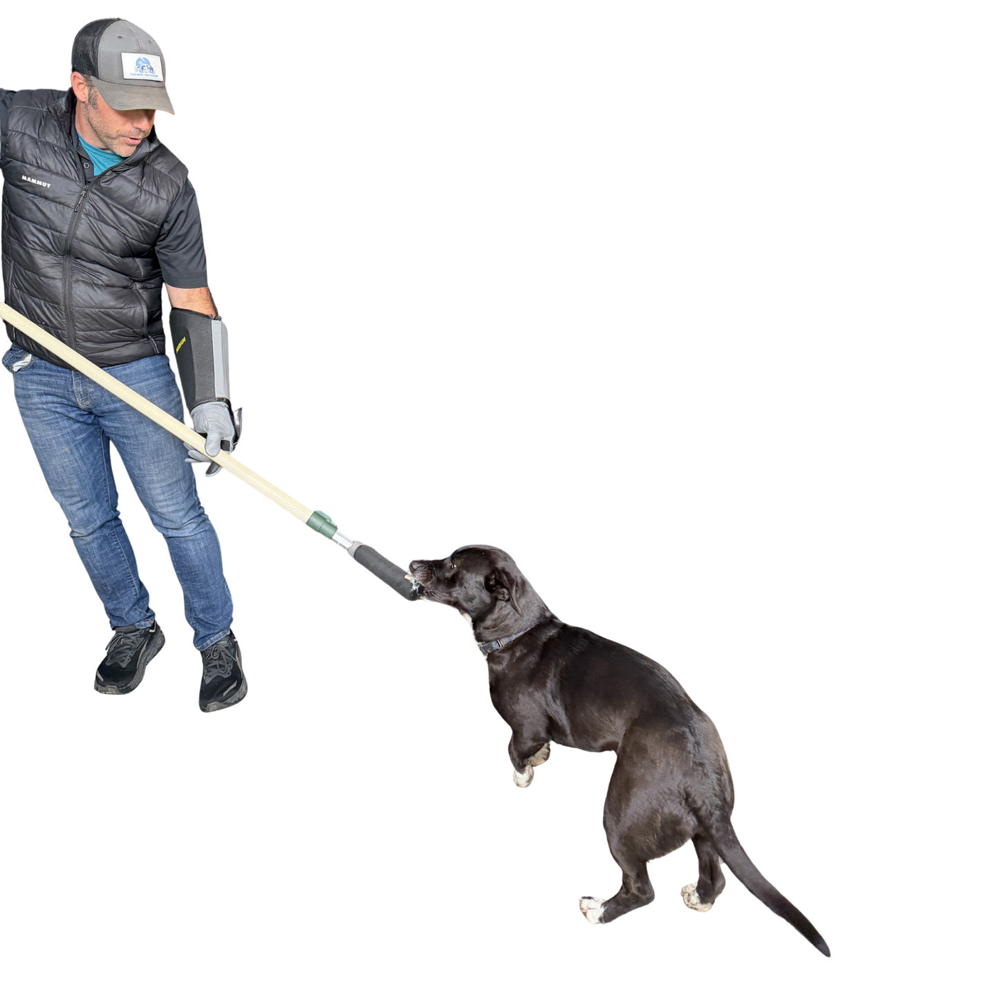 Humane Innovations Y Pole System