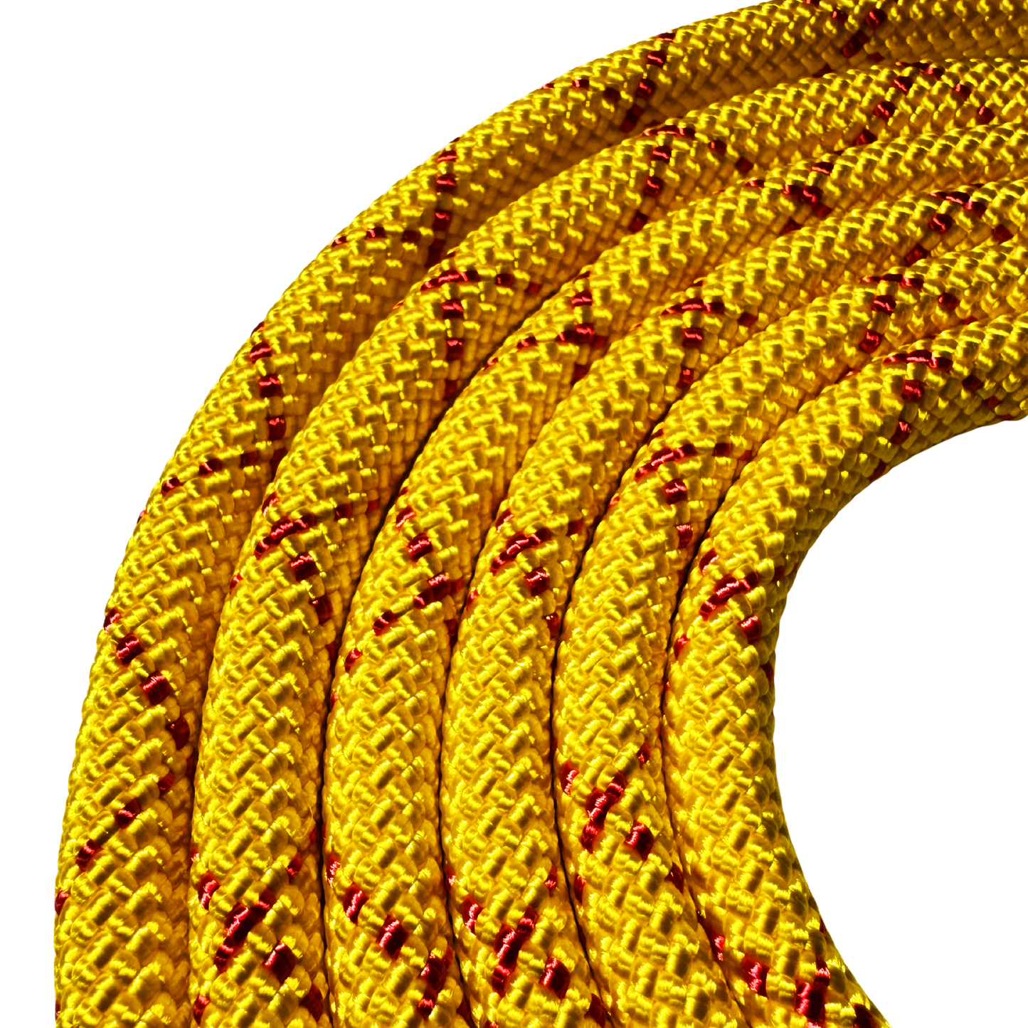 Dual Control Leash, 7'