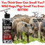 Invisible Hunter Scent Eliminator 8oz Refill
