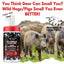 Invisible Hunter Scent Eliminator Wipes